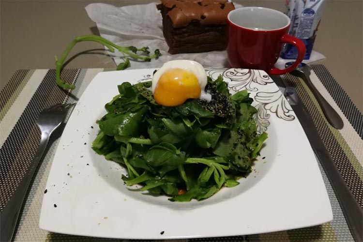 "Leafy Vegetable Salad with Poached Egg": final result