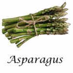 Asparagus