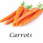 Carrot