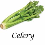 Celery