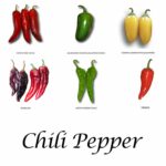 Chili pepper