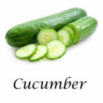 Common ingredient cucumber