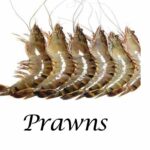 Prawn