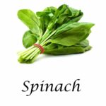 Spinach